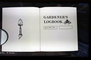 Gardener-01 (I)