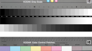 2 Gamme gris + couleurs (I)
