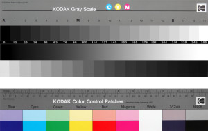 2 Gamme gris + couleurs (I)