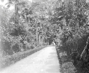 Alger, AL003 (S)