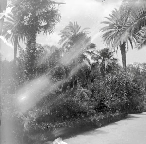 Alger, AL004 (S)