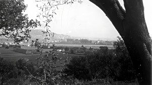 Bône, près de la Basilique (S)