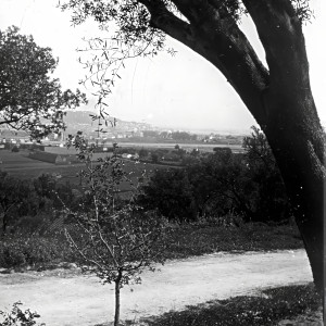 Bône, près de la Basilique (S)
