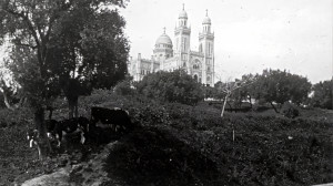 Bône, St Augustin (S)