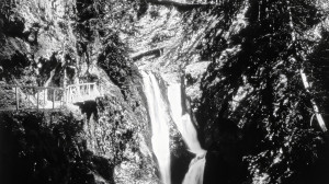 Divers, DI015 (S)