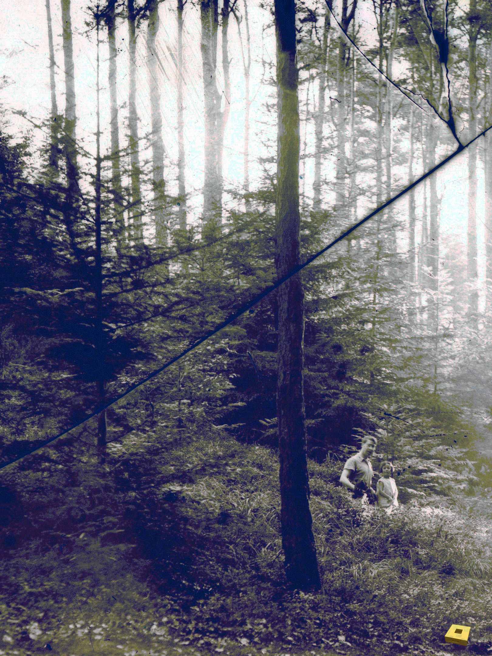 Domrémy, promeneurs (I)