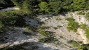 Cul du cerf, panoramic (P)