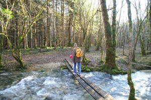 Cul du cerf, Brücke (I)