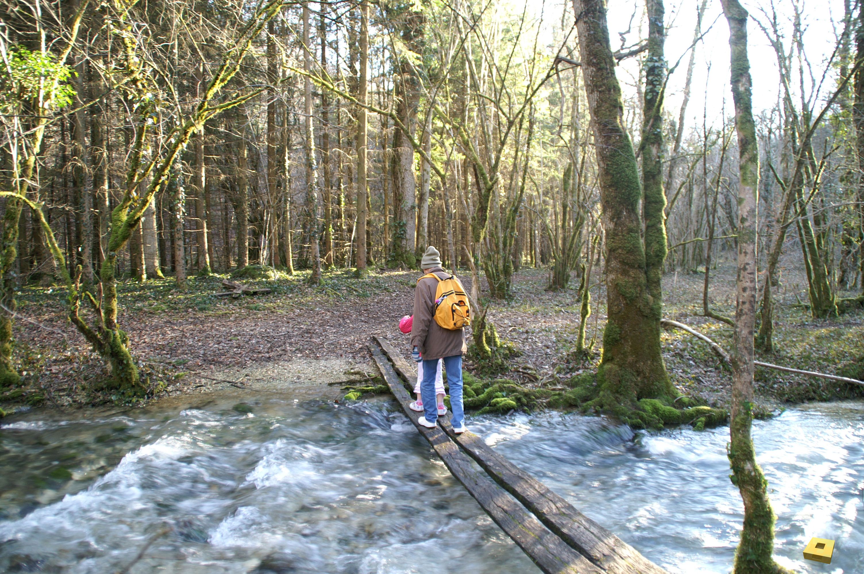 Cul du cerf, bridge (I)