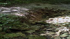 Cul du cerf, Flussbett der Manoise (S)