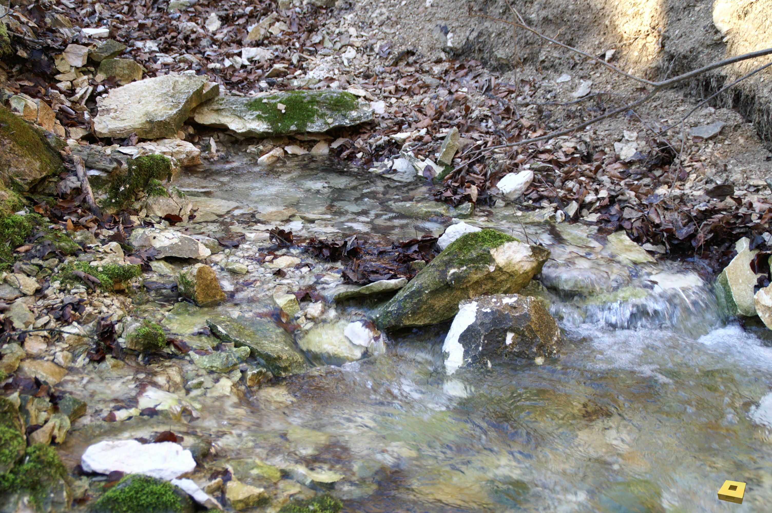 Cul du cerf, source (I)