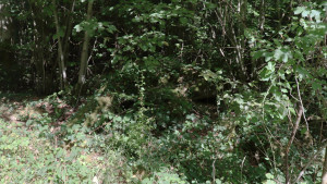 Comtot, tumulus (S)