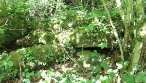 Comtot, dolmen (S)