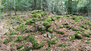 Comtot, tumulus (S)