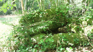 Comtot, dolmen (S)