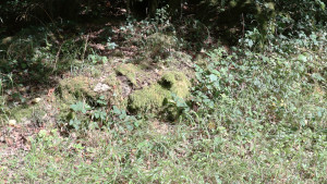 Comtot, tumulus (S)