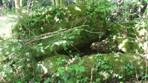 Comtot, dolmen (S)