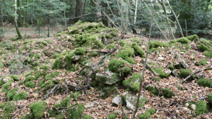 Comtot, tumulus (S)