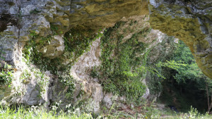 Circourt, hollow - departure (S)