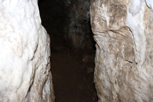 Chèvre-Roche Cave, chamber 1 (I)
