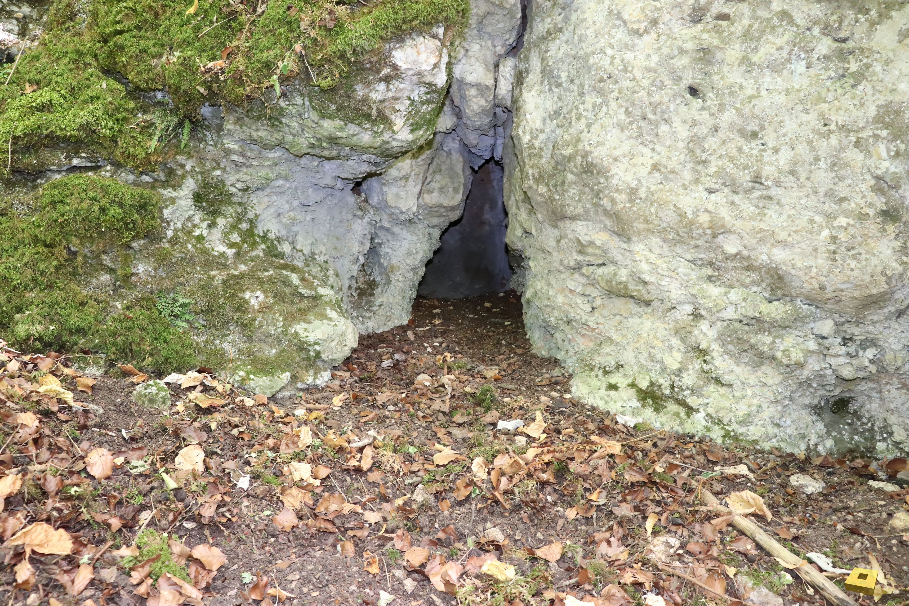 Chèvre-Roche-Höhle, Eingang (I)