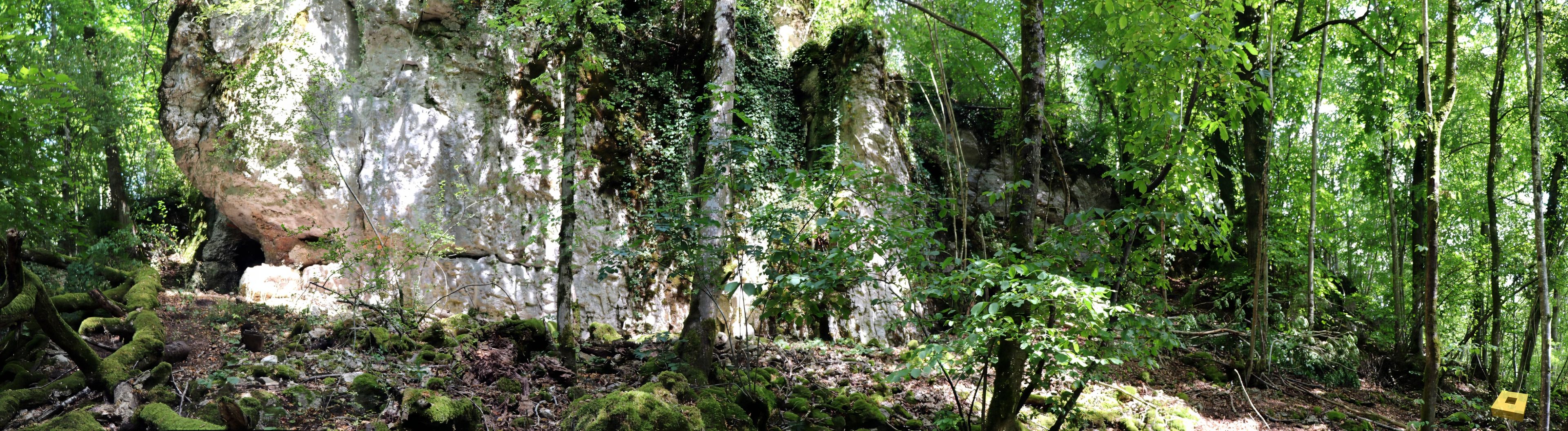 Chèvre-roche, vue globale (I)