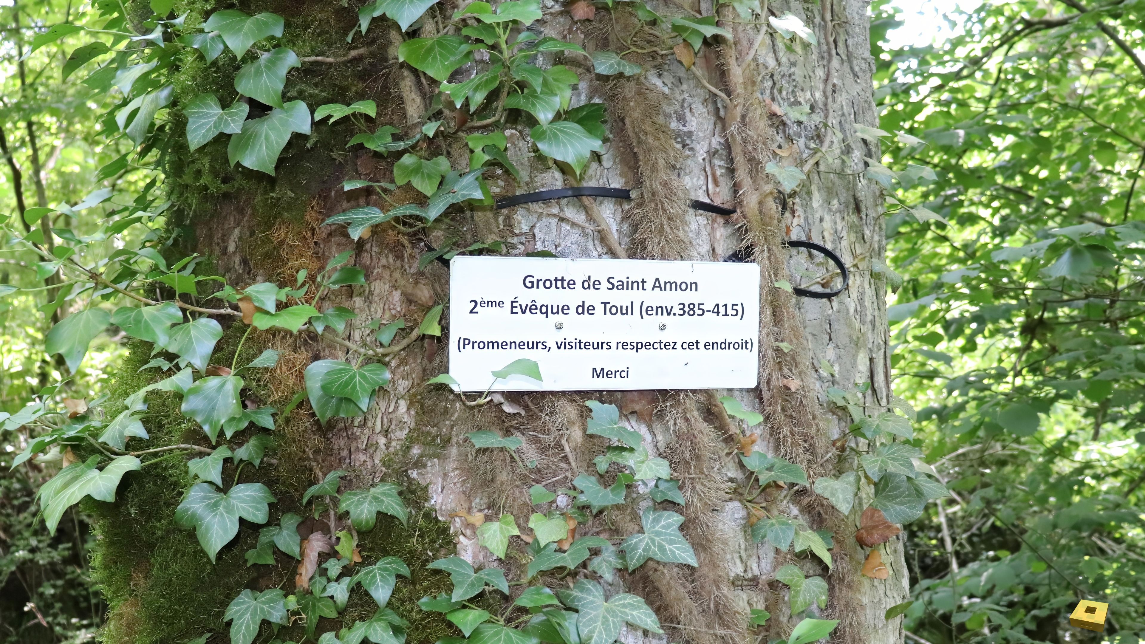 St Amon Cave, poster (I)