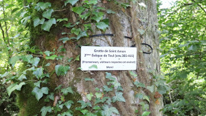 Grotte St Amon, affiche (I)
