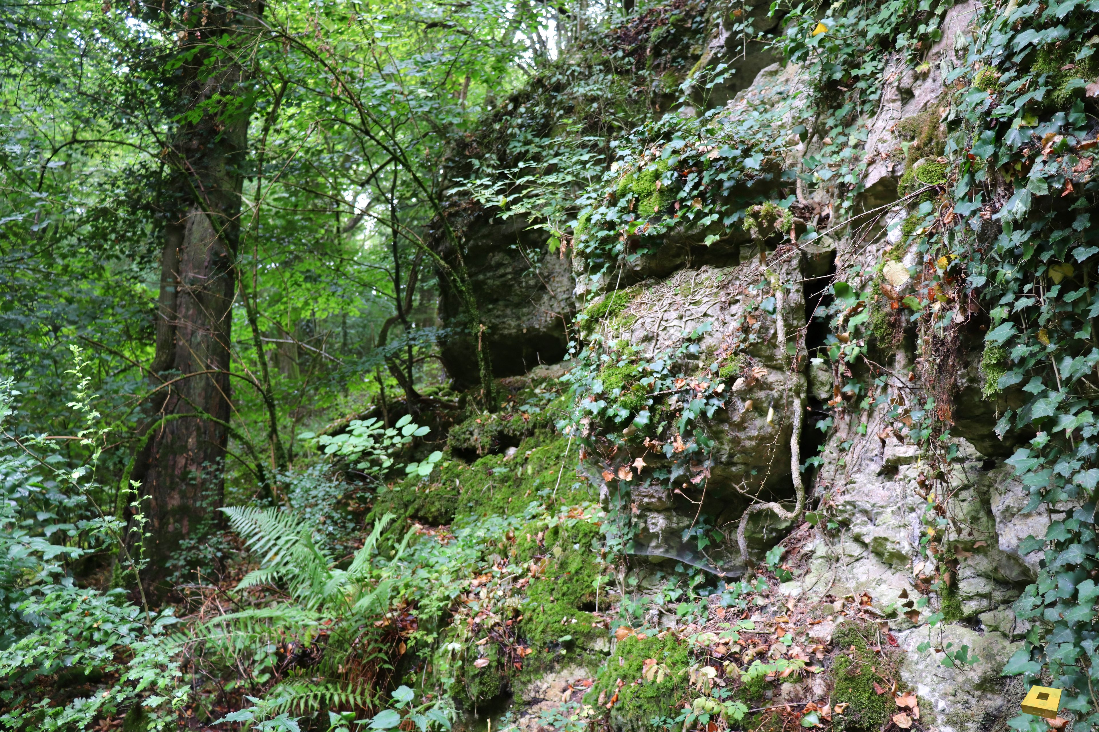 Tilleux Cave, exterior (I)