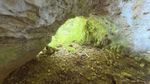 Grotte de Tilleux, intérieur (P)