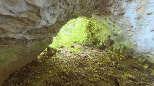 Grotte de Tilleux, intérieur (P)