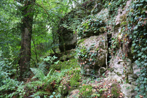 Grotte de Tilleux, extérieur (I)