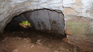 Grotte de Tilleux, intérieur (I)