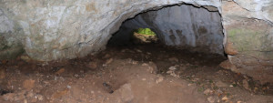 Grotte de Tilleux, intérieur (I)