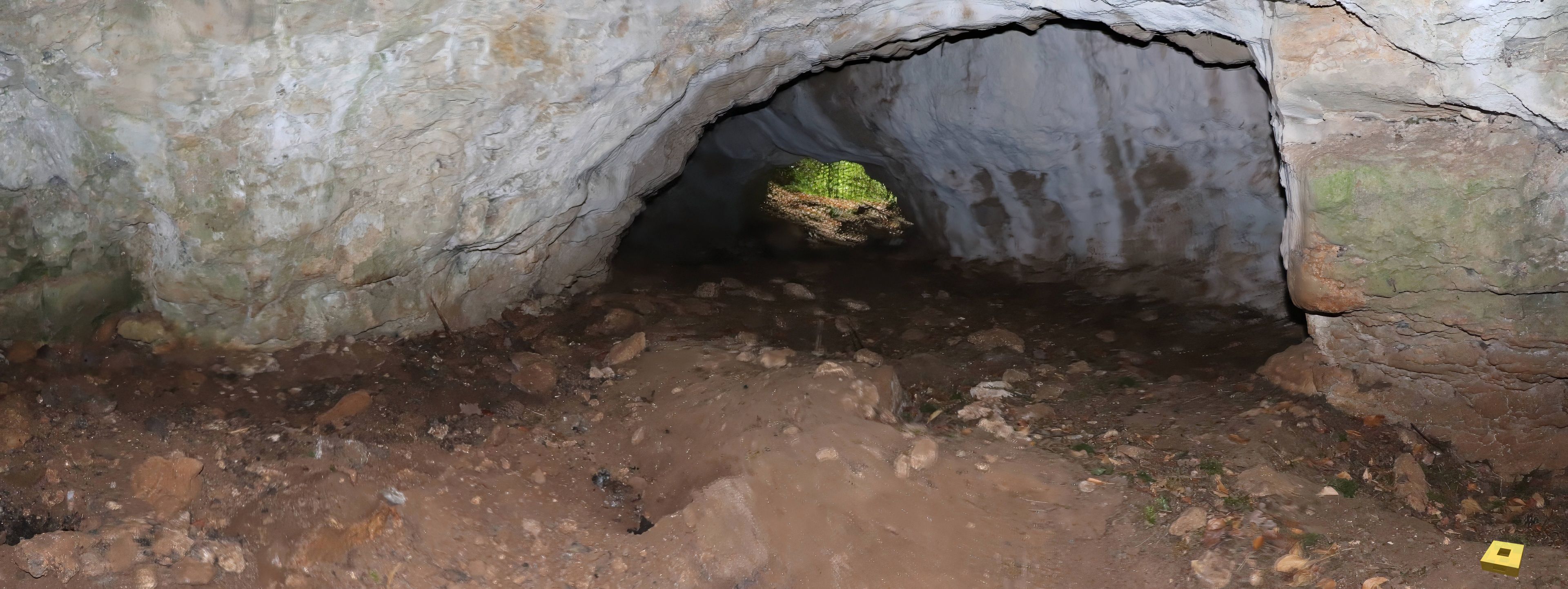 Grotte de Tilleux, intérieur (I)