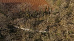 Grotte du Vieux Robert, vue aérienne (P)