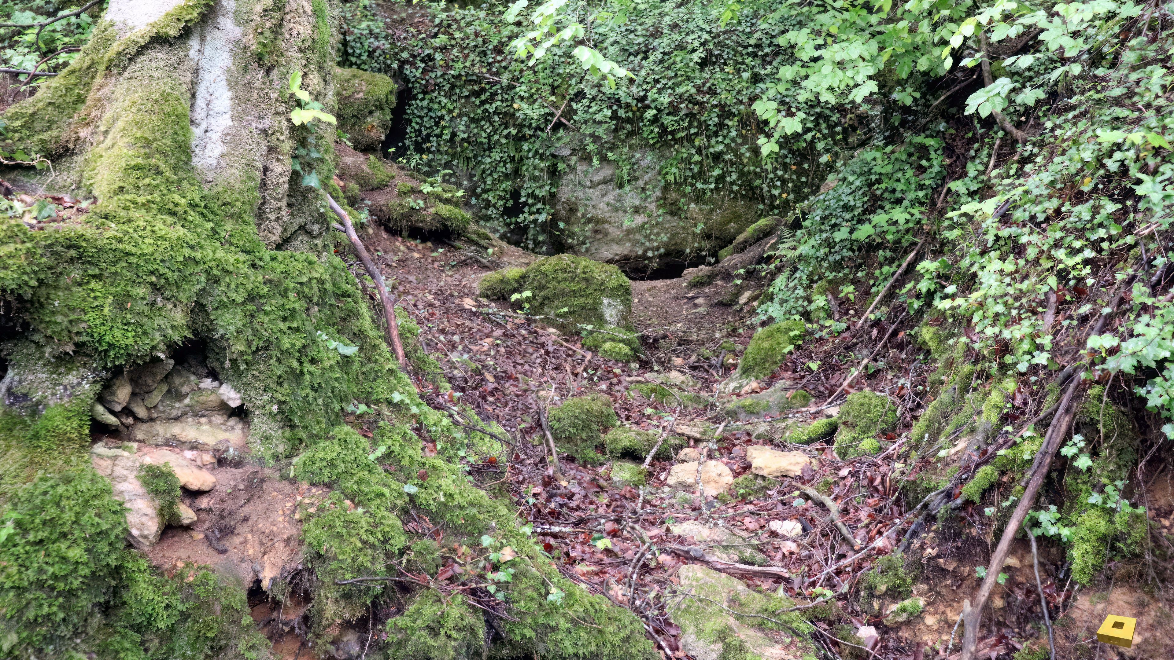 Bazoilles, the Cave of a Thousand Diaclases (I)