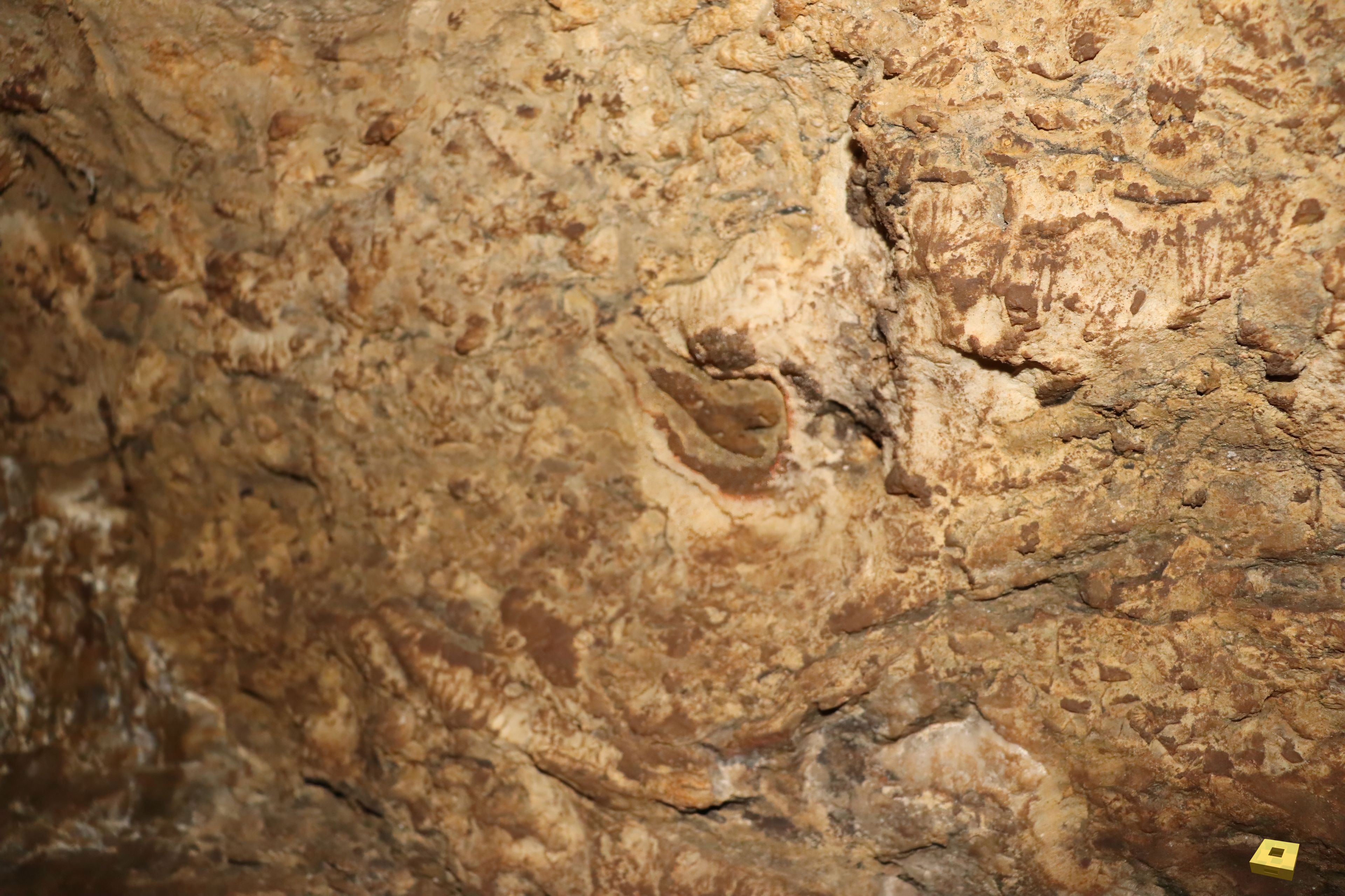 Pierre la Treiche, grotte - 8924 (I)