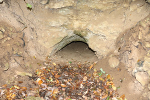 Pierre la Treiche, grotte - 8875 (I)