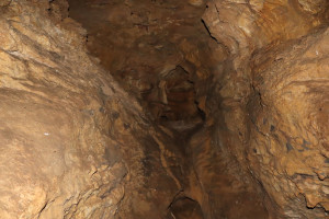 Pierre la Treiche, grotte - 8897 (I)