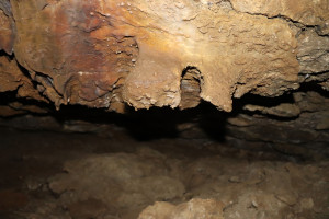 Pierre la Treiche, grotte - 8905 (I)