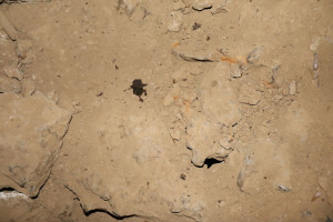 Pierre la Treiche, grotte - 8992 (I)