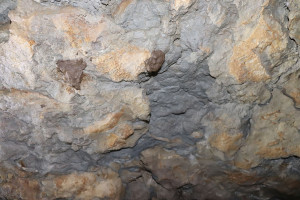 Pierre la Treiche, grotte - 8975 (I)