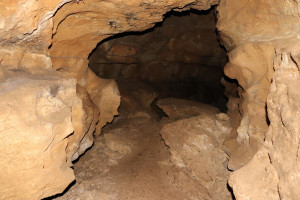 Pierre la Treiche, grotte - 8895 (I)