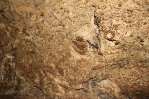 Pierre la Treiche, grotte - 8924 (I)