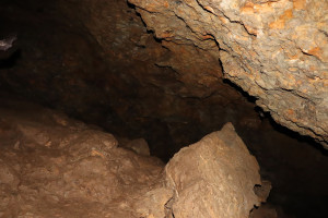 Pierre la Treiche, grotte - 8939 (I)
