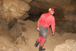 Pierre la Treiche, grotte - 8955 (I)