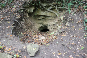 Pierre la Treiche, grotte - 8874 (I)