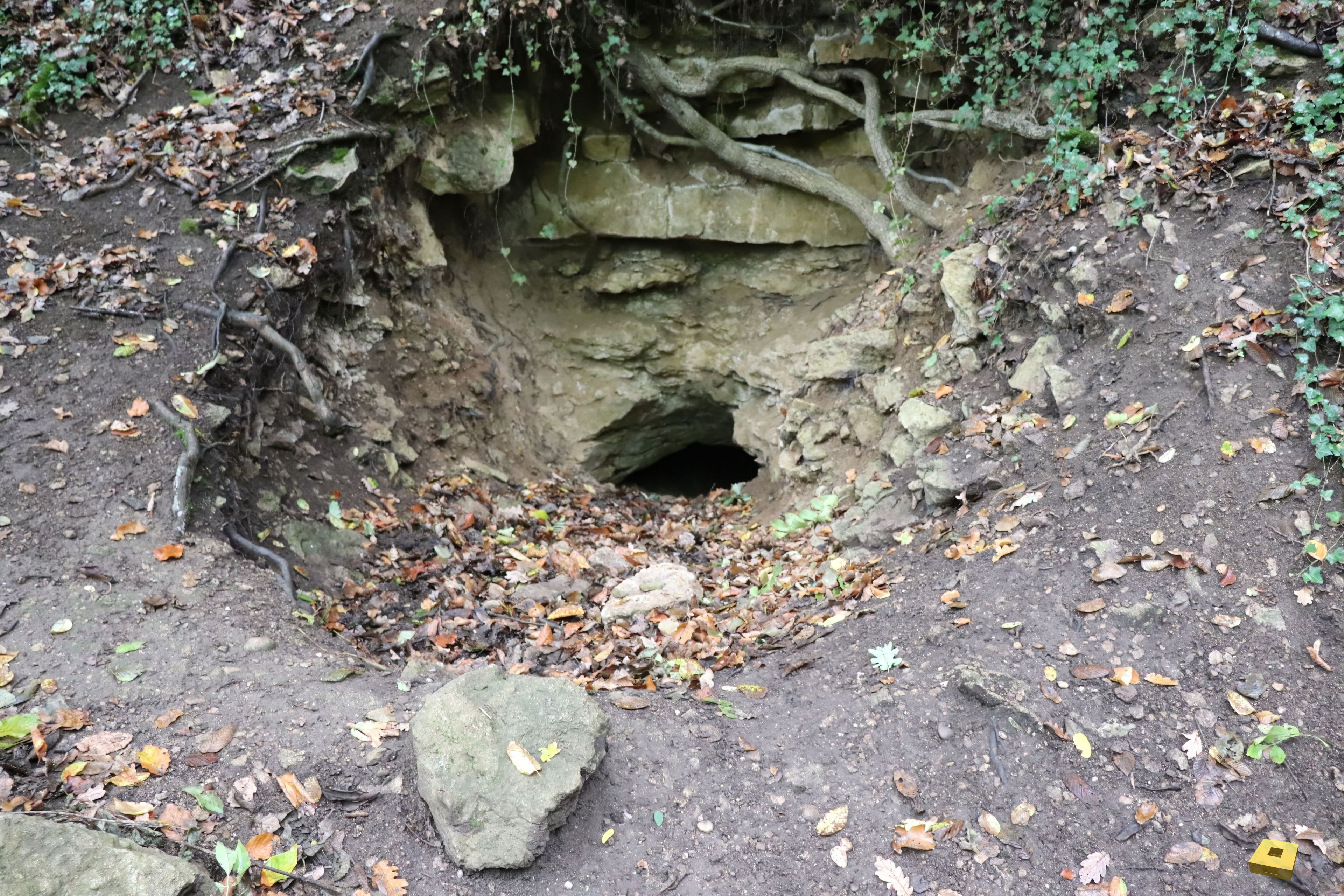Pierre la Treiche, grotte - 8874 (I)