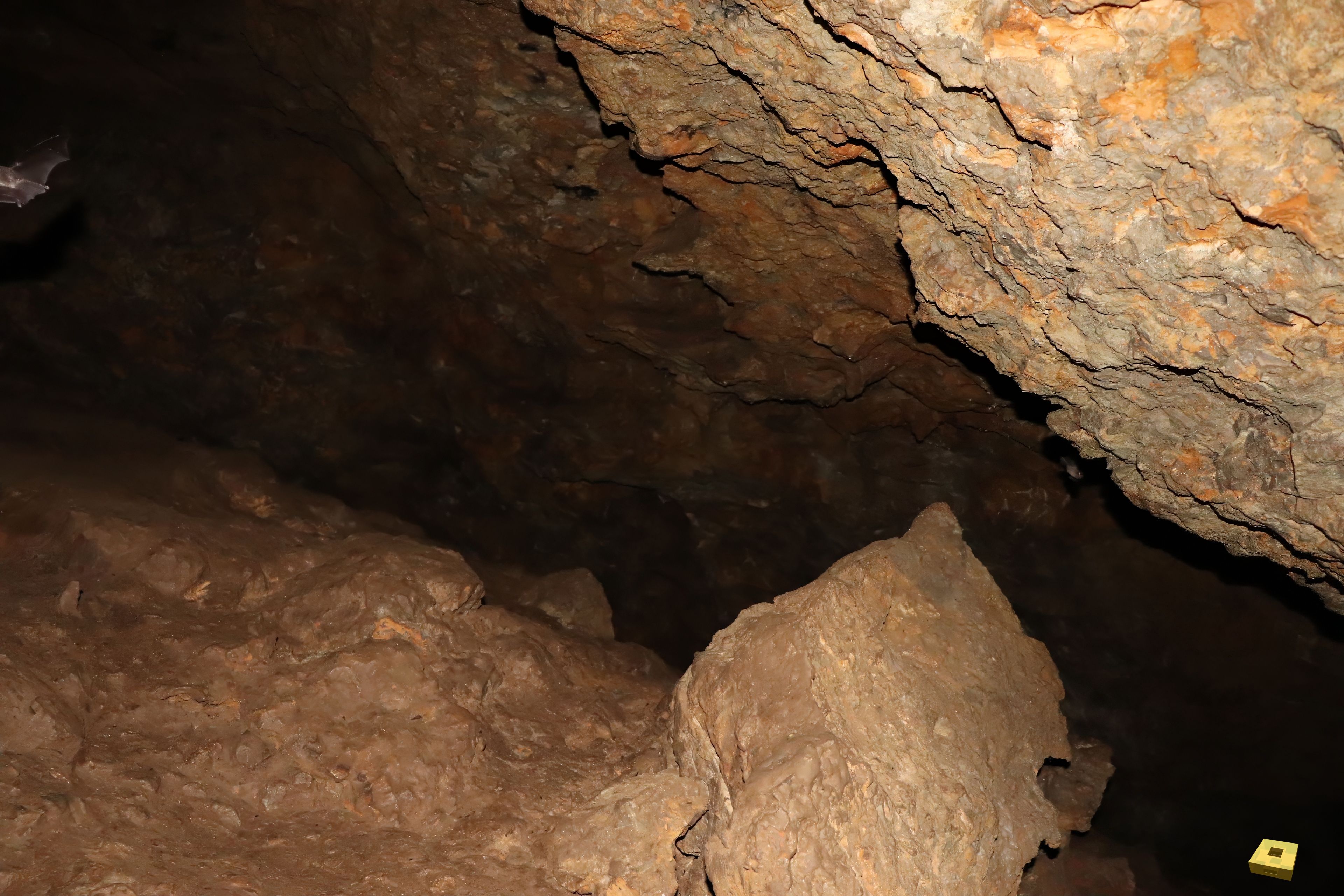 Pierre la Treiche, grotte - 8939 (I)